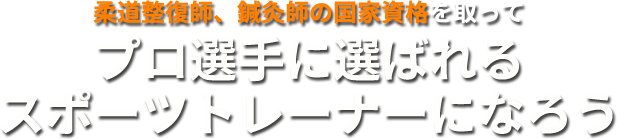 柔道整復師、鍼灸師の国家資格を取ってプロに選ばれるスポーツトレーナーになろう